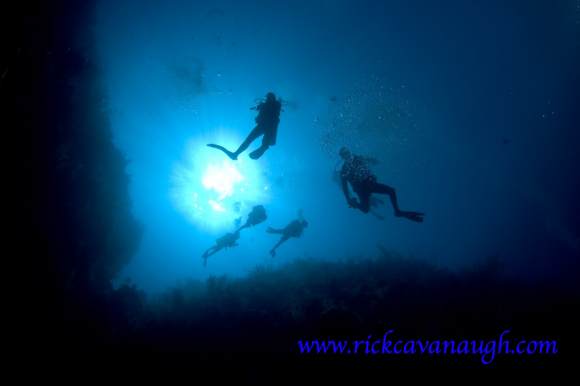 Scuba Divers in Utila